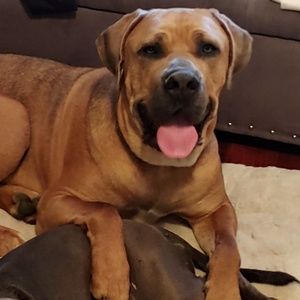 Meet your Posher, Wendi